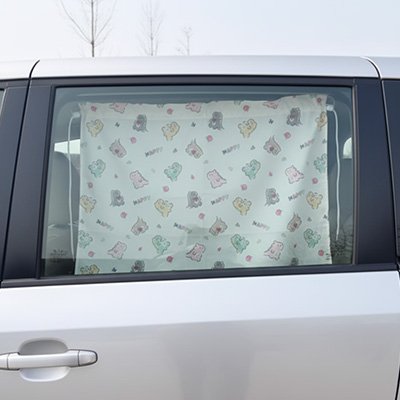 Rideau voiture